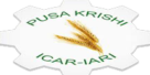 Pusa Krishi Icar Iari